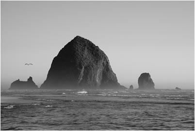 Rock and Sea, Oregon Coast, USA, 2013