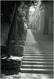 Steps, Volterra 2002