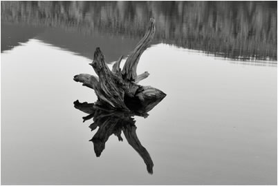 Wood and Mirroring Lake, Rocky Mountain National Park, Colorado, 2009