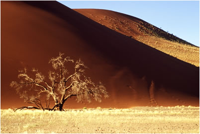 Dunes I, Namibia 2002