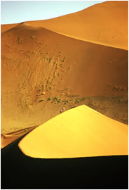 Dunes III (Lines), Namibia 2002 